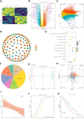 GraphBio: A shiny web app to easily perform popular visualization analysis for omics data